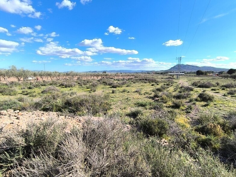 Terreno en Caudete, Albacete en venta - Plano del sitio - Imagen 3 de 5