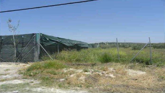Terreno en Úbeda, Jaén en venta - Foto de la construcción - Imagen 3 de 6
