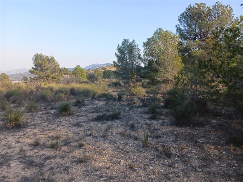 Proc. Simplificado, MONÒVER, Alicante en venta - Foto del edificio - Imagen 2 de 20