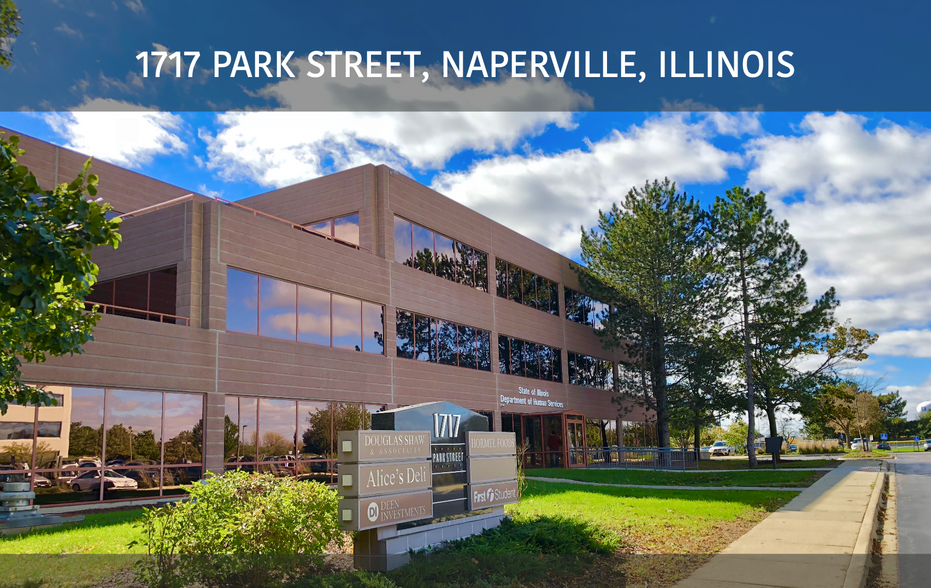 1717 Park St, Naperville, IL en alquiler - Foto del edificio - Imagen 1 de 2