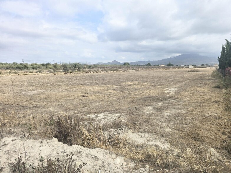 Terreno en Aspe, Alicante en venta - Foto del edificio - Imagen 1 de 1