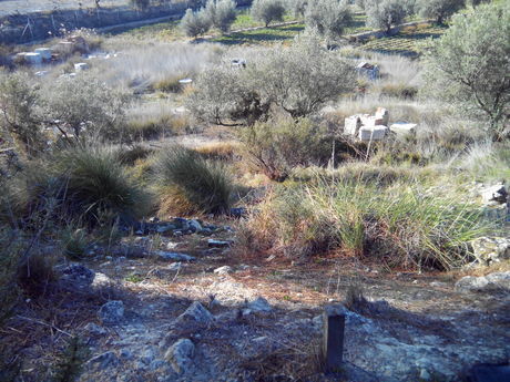 Terreno en Calasparra, Murcia en venta - Plano del sitio - Imagen 2 de 9