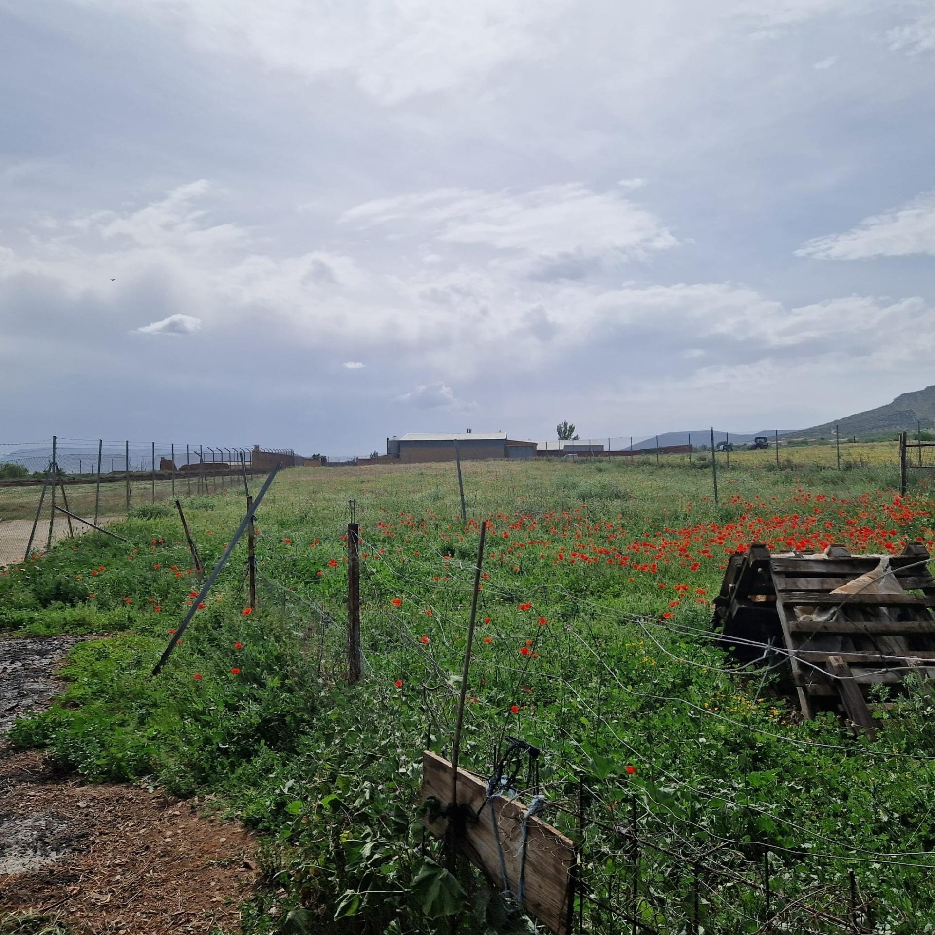 Terreno en Los Yébenes, Toledo en venta Foto principal- Imagen 1 de 2