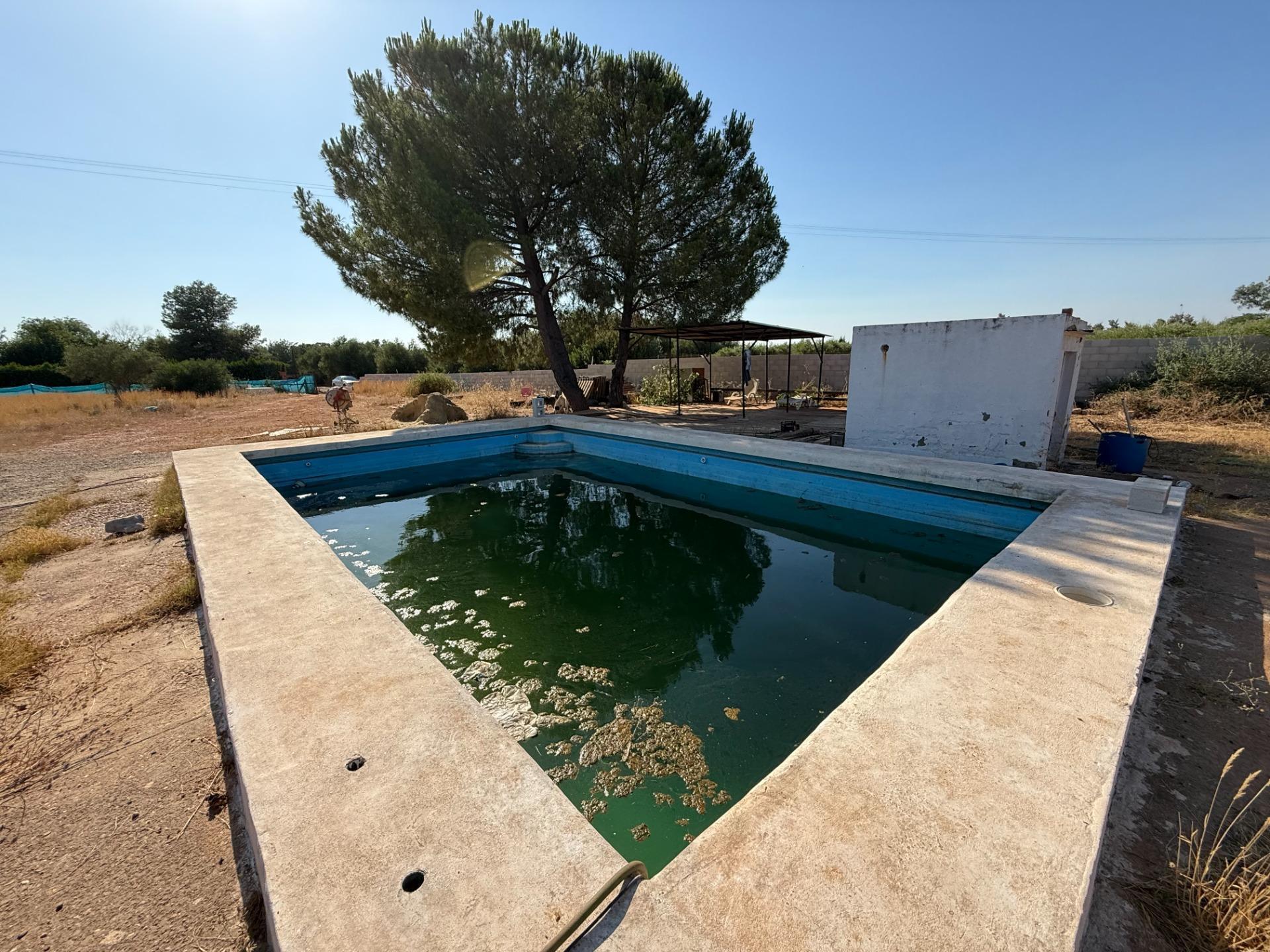Urbanización del Chaparral, 27, Carmona, Sevilla en venta Foto del edificio- Imagen 1 de 13