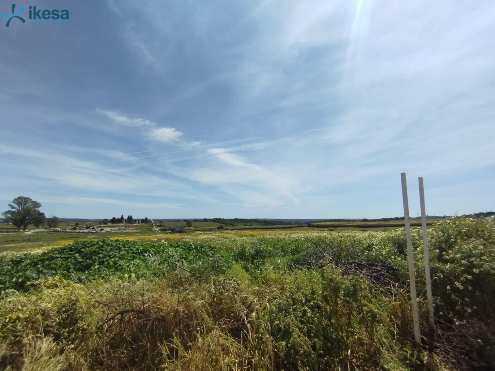 Terreno en Alosno, Huelva en venta Vista aérea- Imagen 1 de 8
