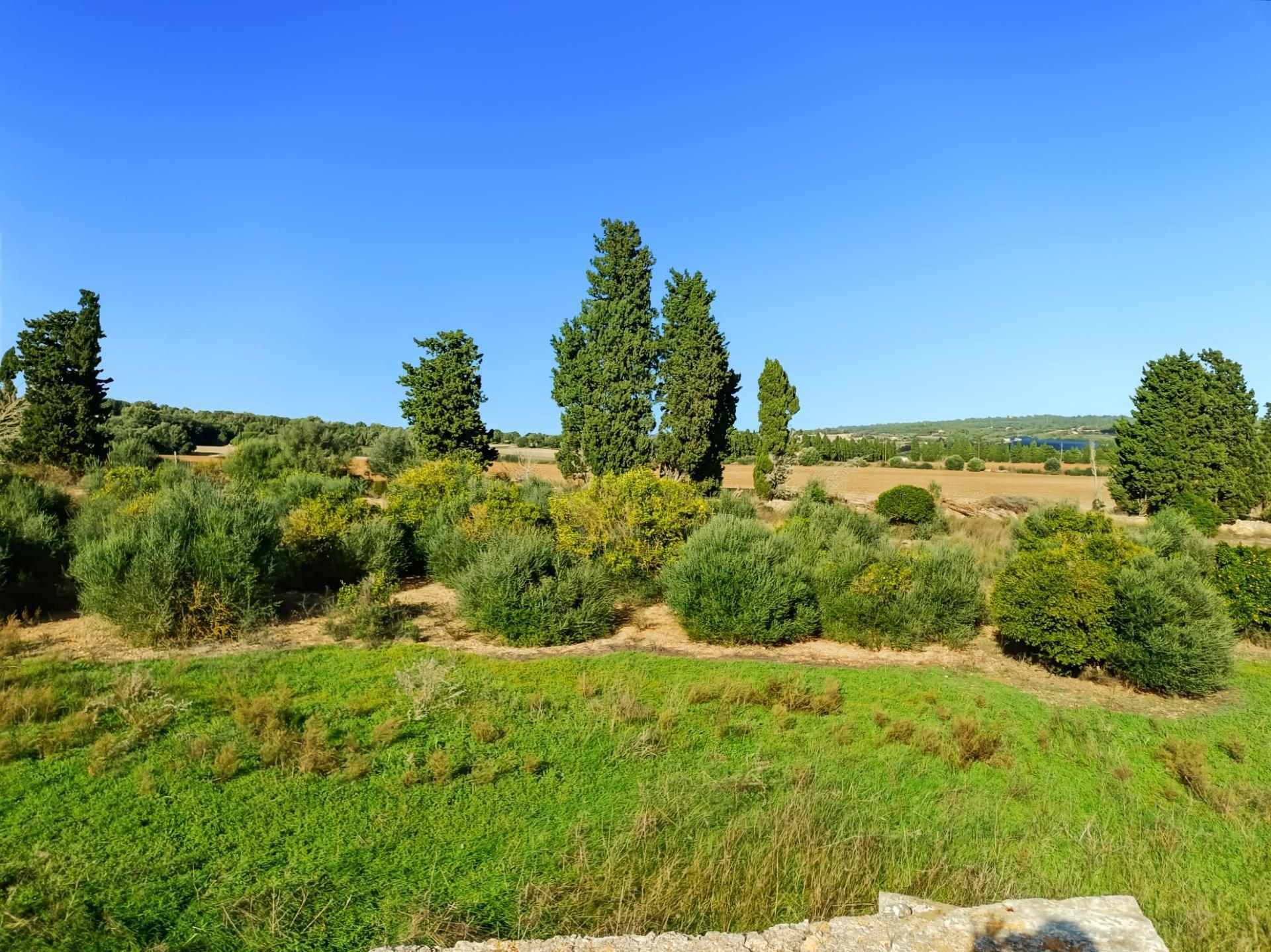 Terreno en Petra, Islas Baleares en venta Vista aérea- Imagen 1 de 9