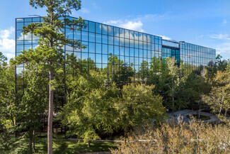 Más detalles para 10077 Grogans Mill Rd, The Woodlands, TX - Oficinas en alquiler