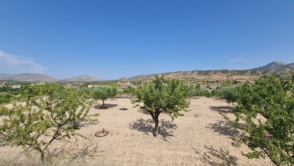 Terreno en Abanilla, Murcia en venta - Vista aérea - Imagen 3 de 10