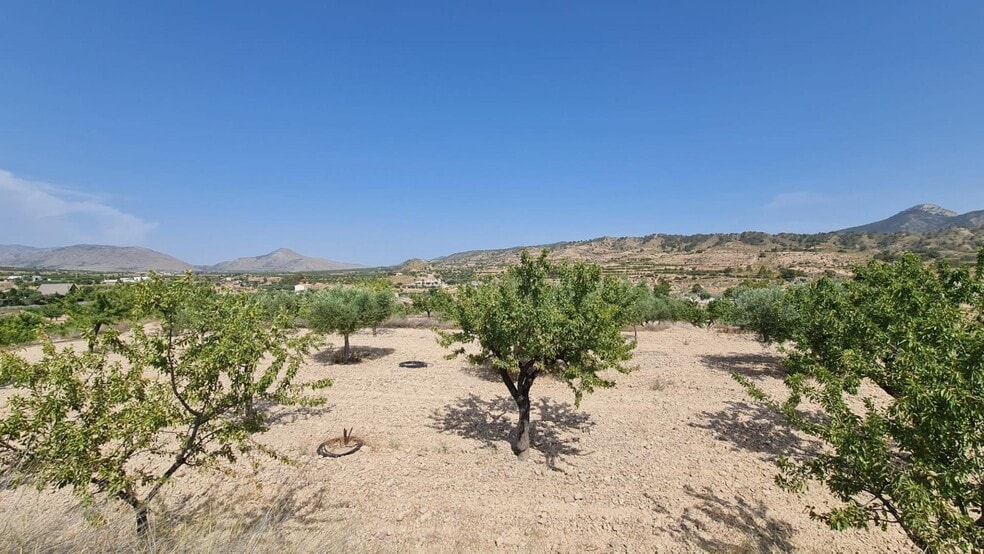 Terreno en Abanilla, Murcia en venta - Vista aérea - Imagen 3 de 10