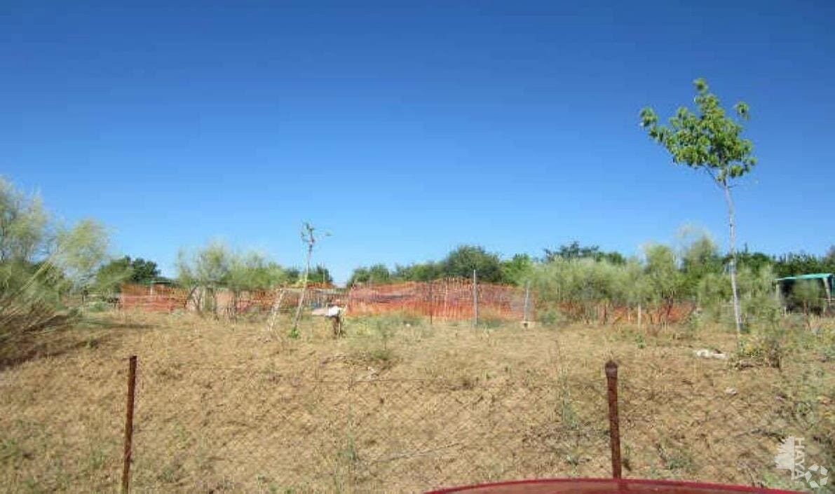 Camino Valdeavero, Fresno de Torote, Madrid en venta Foto principal- Imagen 1 de 1