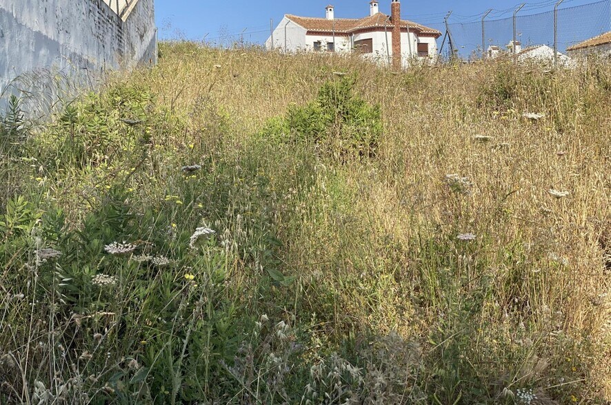Terreno en Colmenar, Málaga en venta - Plano del sitio - Imagen 1 de 10