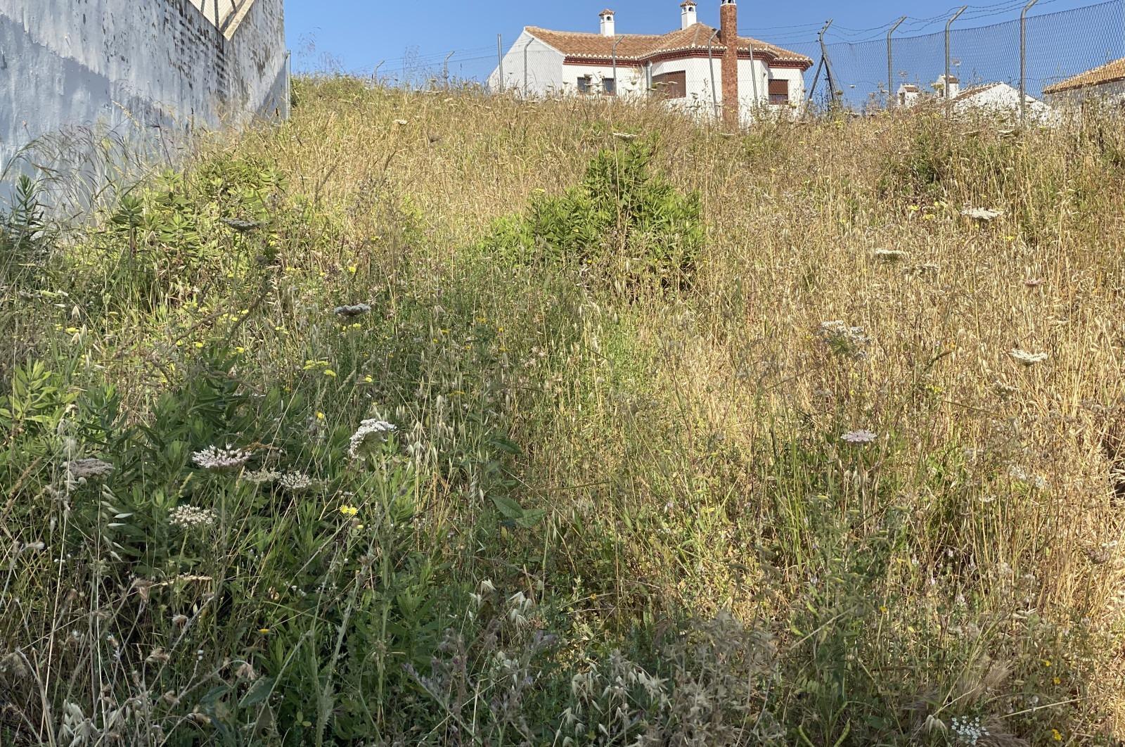 Terreno en Colmenar, Málaga en venta Plano del sitio- Imagen 1 de 11