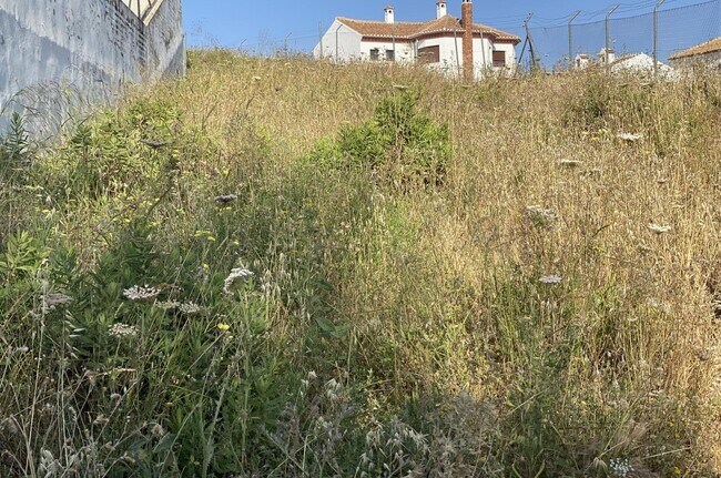 Más detalles de Terreno en venta