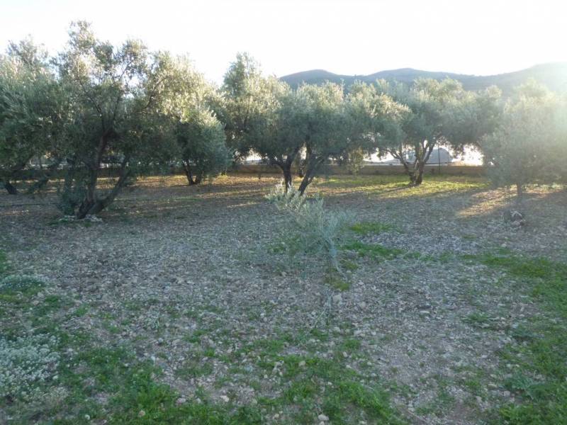 Paraje Ramal Temprano, 1, Dalías, Almería en venta Foto del edificio- Imagen 1 de 17