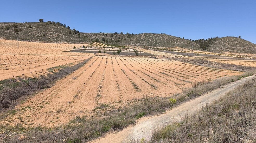 Terreno en Abanilla en venta - Foto del edificio - Imagen 3 de 4