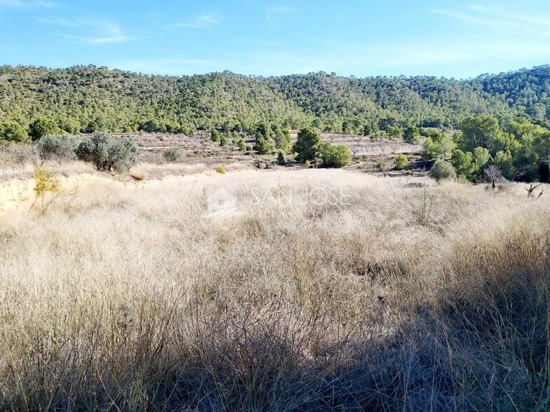 Terreno en La Romana, Alicante en venta - Vista aérea - Imagen 1 de 3