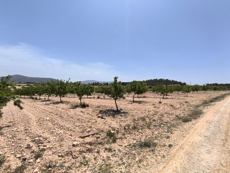 Terreno en Úbeda, Jaén en venta - Foto principal - Imagen 2 de 6