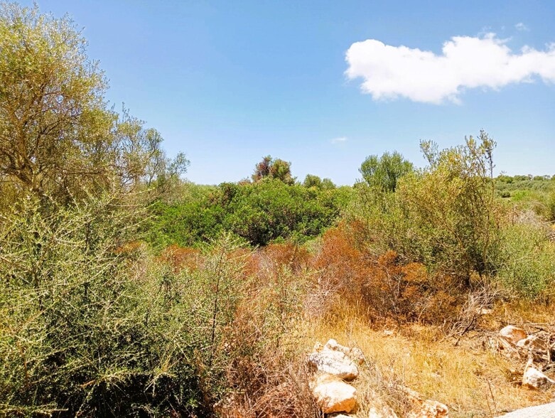 Terreno en Santanyí, Islas Baleares en venta - Foto principal - Imagen 1 de 5