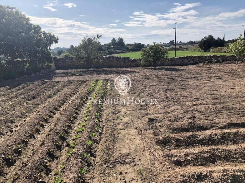 Terreno en L'Argilaga, Tarragona en venta - Foto del edificio - Imagen 3 de 10