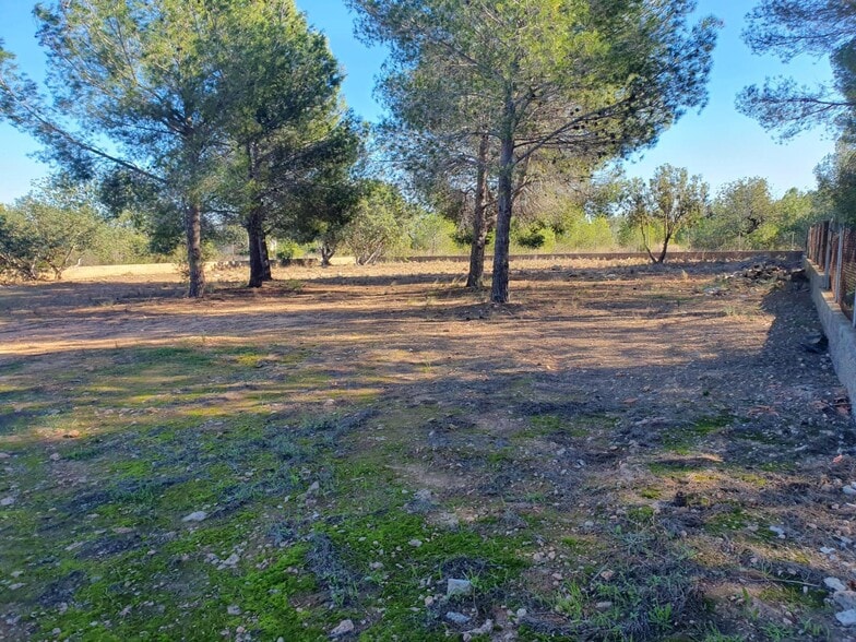 Terreno en La Pobla de Vallbona, Valencia en venta - Foto principal - Imagen 3 de 5