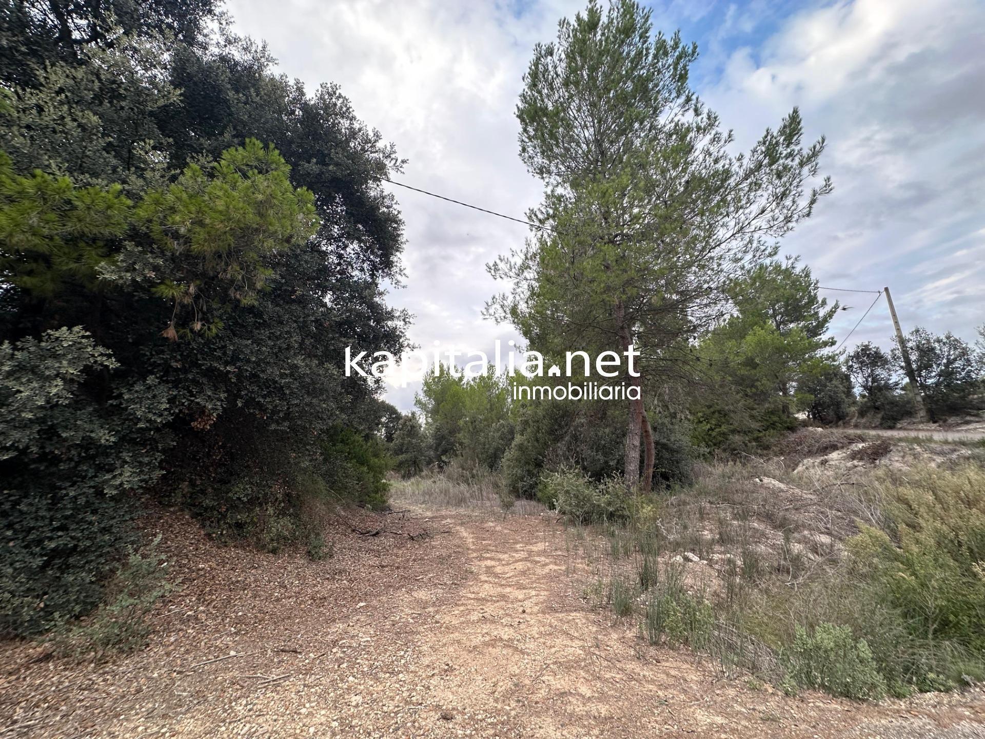 Terreno en Alfafara, Alicante en venta Foto principal- Imagen 1 de 6