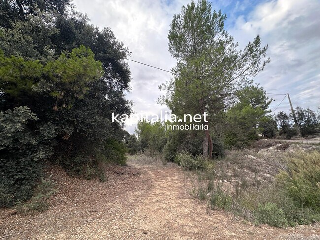 Más detalles de Terreno en venta