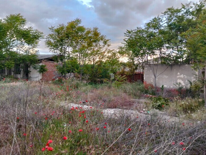 Terreno en Lillo, Toledo en venta - Otros - Imagen 2 de 5