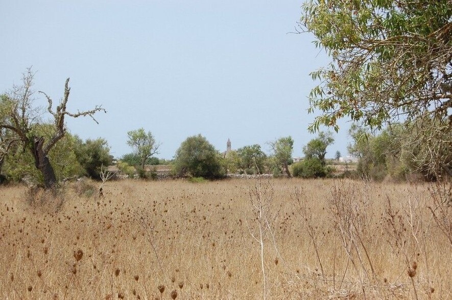Terreno en Santanyí, Islas Baleares en venta - Foto principal - Imagen 3 de 11