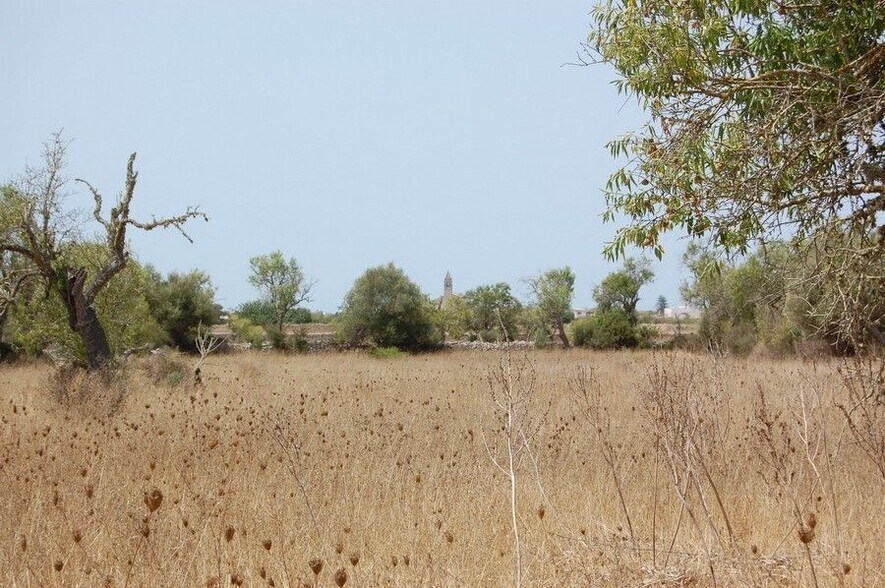 Terreno en Santanyí, Islas Baleares en venta - Foto principal - Imagen 2 de 11