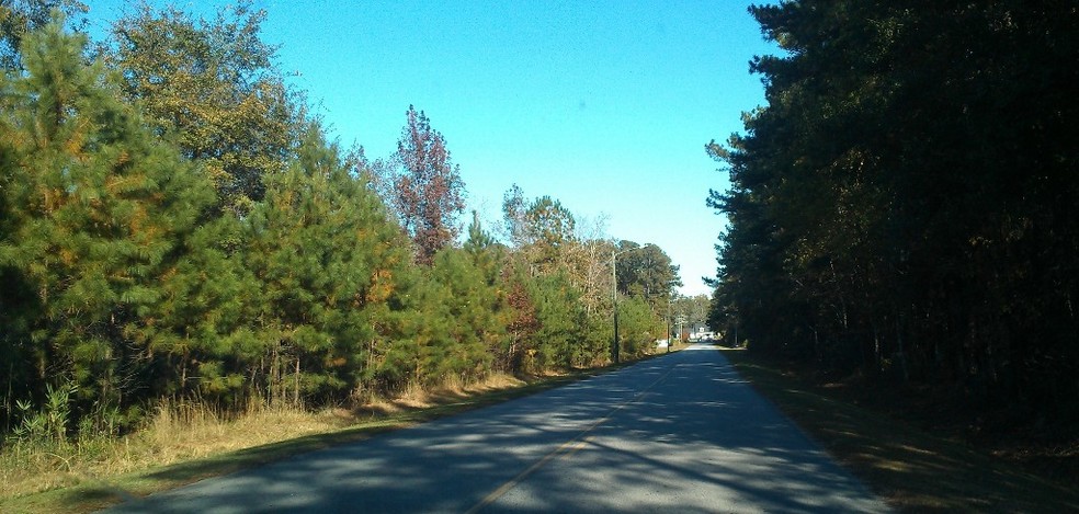 Frances Meeks Way, Richmond Hill, GA en venta - Foto del edificio - Imagen 3 de 4