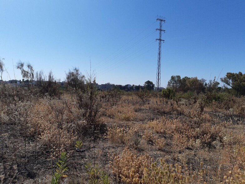 Terreno en Burguillos, Sevilla en venta - Plano del sitio - Imagen 2 de 20