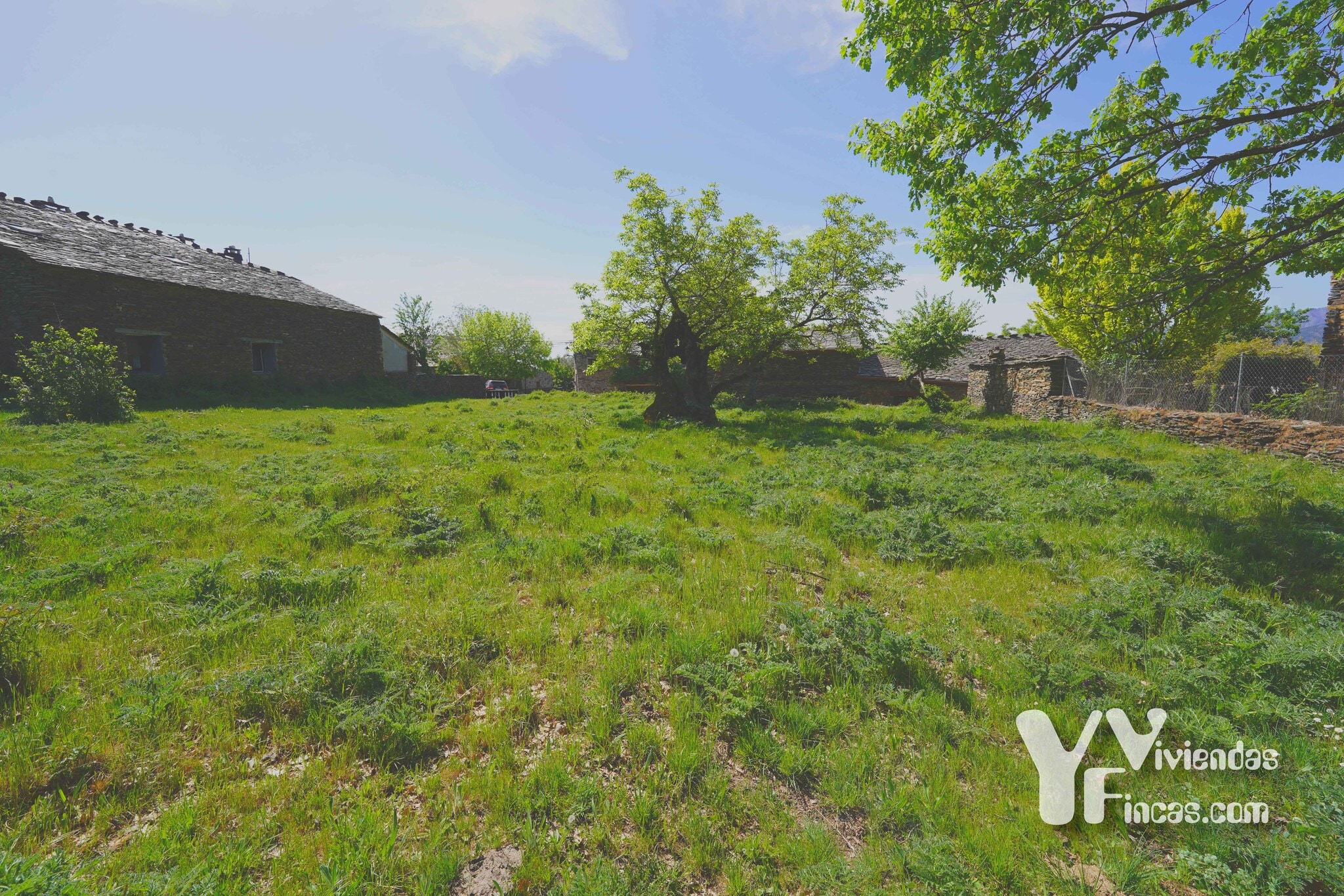 Plaza del Olmo, 29P, Campillo de Ranas, Guadalajara en venta Foto principal- Imagen 1 de 10