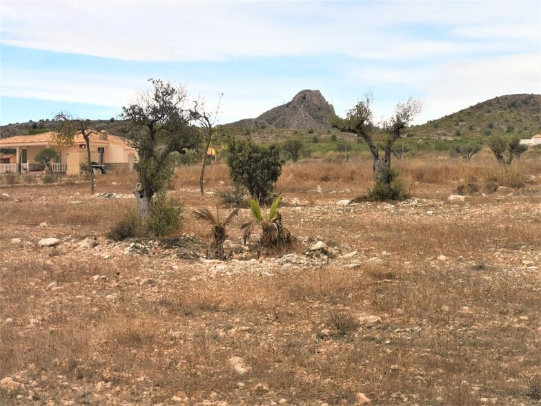 Terreno en Salinas, Alicante en venta - Foto principal - Imagen 2 de 5