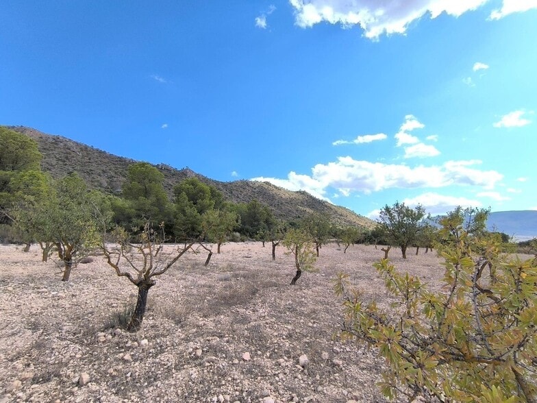 Terreno en Yecla en venta - Foto del edificio - Imagen 2 de 9