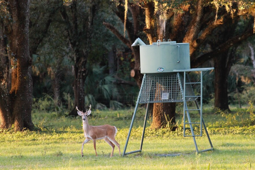 Roberts Ranch Road, Clewiston, FL en venta - Otros - Imagen 3 de 40