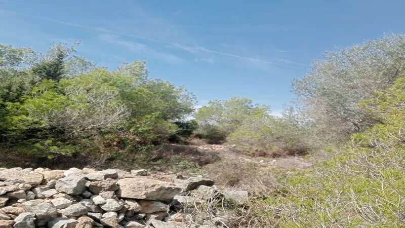 Terreno en El Vendrell, Tarragona en venta - Foto del edificio - Imagen 3 de 6