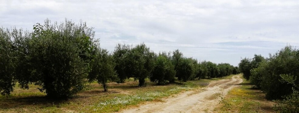 Polígono Ue, 11 Parcela 69, Villamanrique de la Condesa, Sevilla en venta - Foto del edificio - Imagen 1 de 37