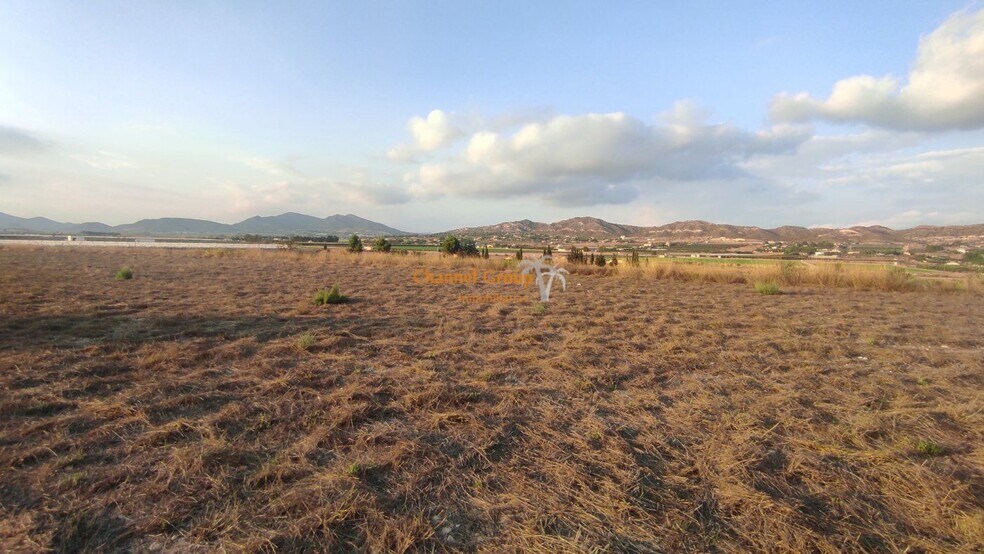 Partida Alcana, Aspe Pedanias, 49, Elche, Alicante en venta - Vista aérea - Imagen 1 de 5