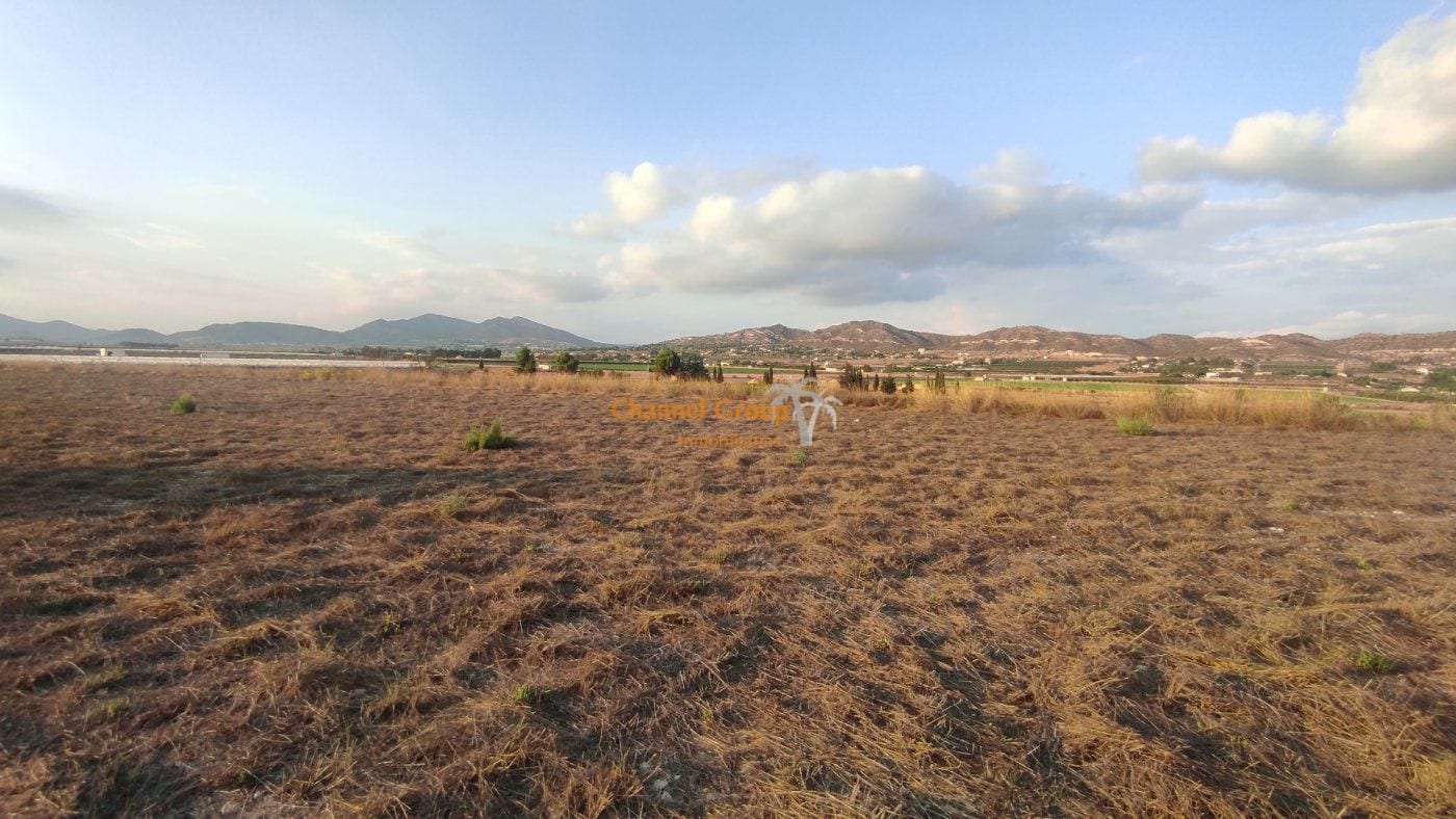 Partida Alcana, Aspe Pedanias, 49, Elche, Alicante en venta Vista aérea- Imagen 1 de 6