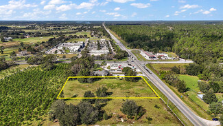 Más detalles para 00 SR 44, Sorrento, FL - Terrenos en venta