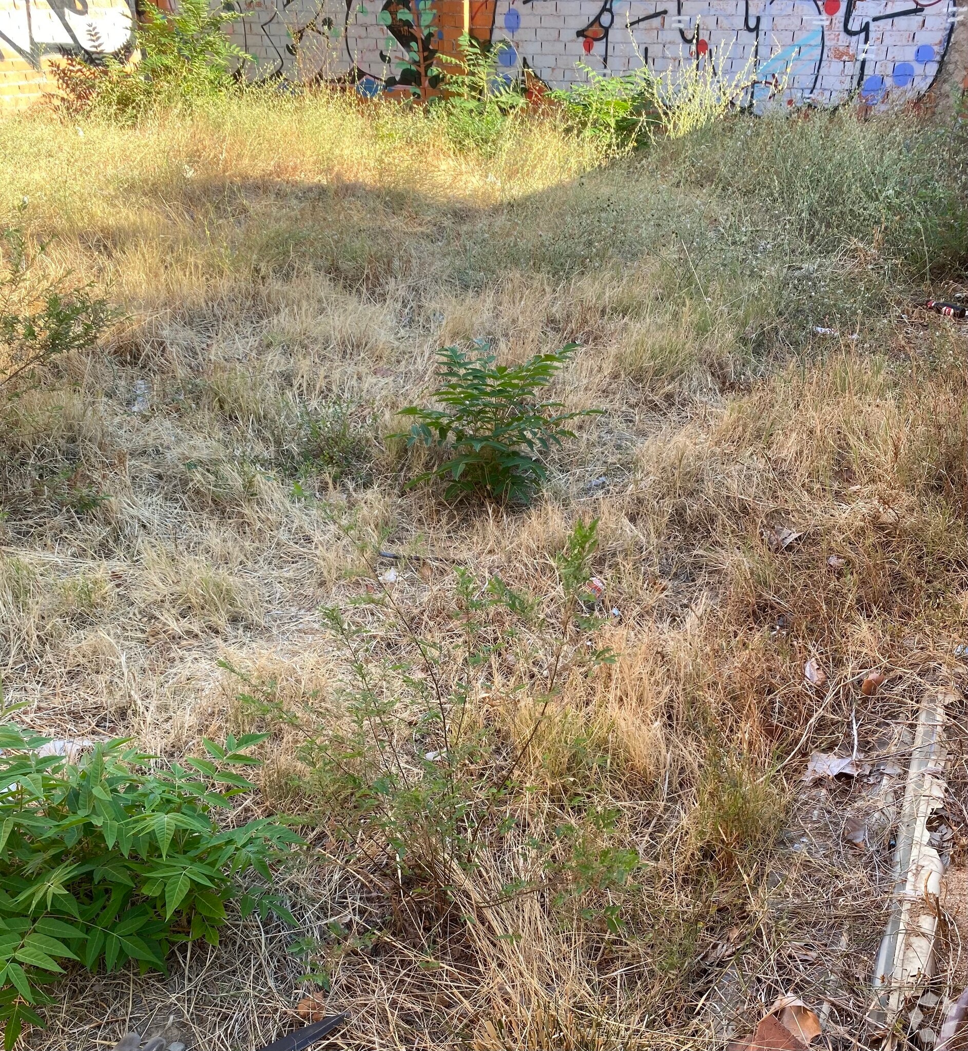 Terreno en Madrid, Madrid en venta Foto principal- Imagen 1 de 2