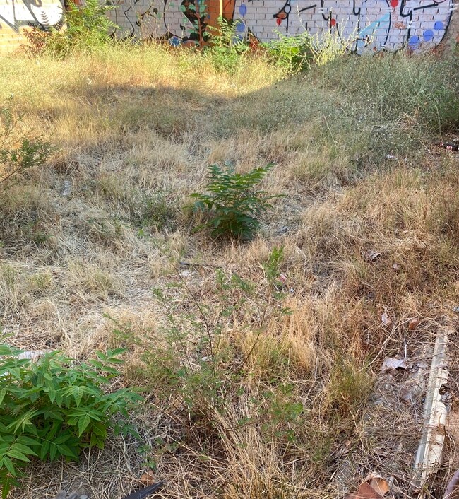 Más detalles para Terreno en venta