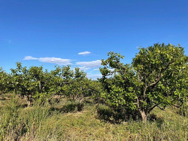 Terreno en València, Valencia en venta - Foto del edificio - Imagen 3 de 4