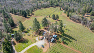 Más detalles para 4771 Greenhills Rd, Placerville, CA - Especializados en venta