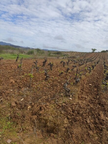 Polígono, S/N, Camponaraya, León en venta - Foto principal - Imagen 2 de 6