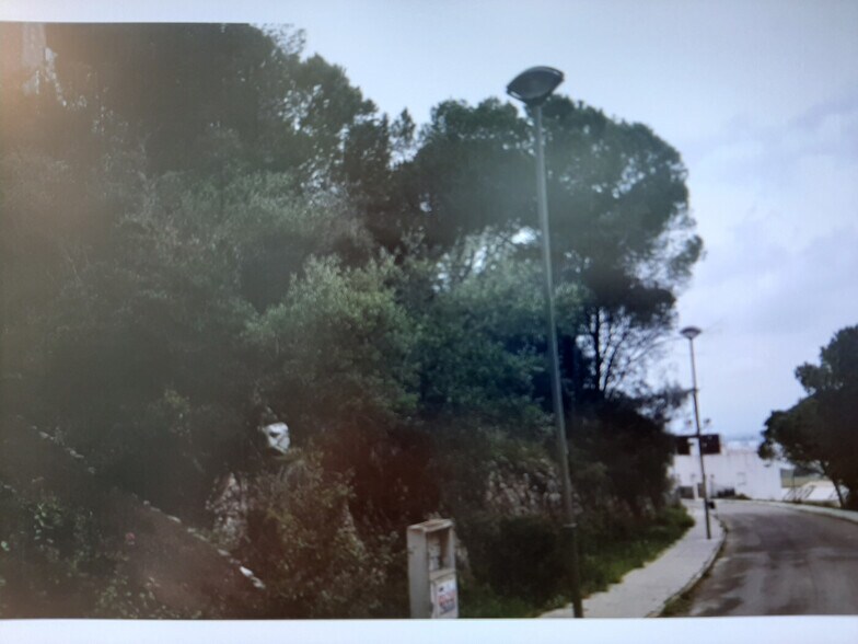 Terreno en Alzira, Valencia en venta - Foto del edificio - Imagen 3 de 14