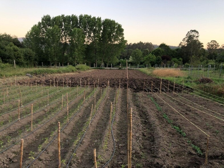 Terreno en Meis, Pontevedra en venta - Foto del edificio - Imagen 3 de 19