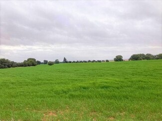 Más detalles de Proc. Simplificado, Campo de Criptana - Terreno en venta