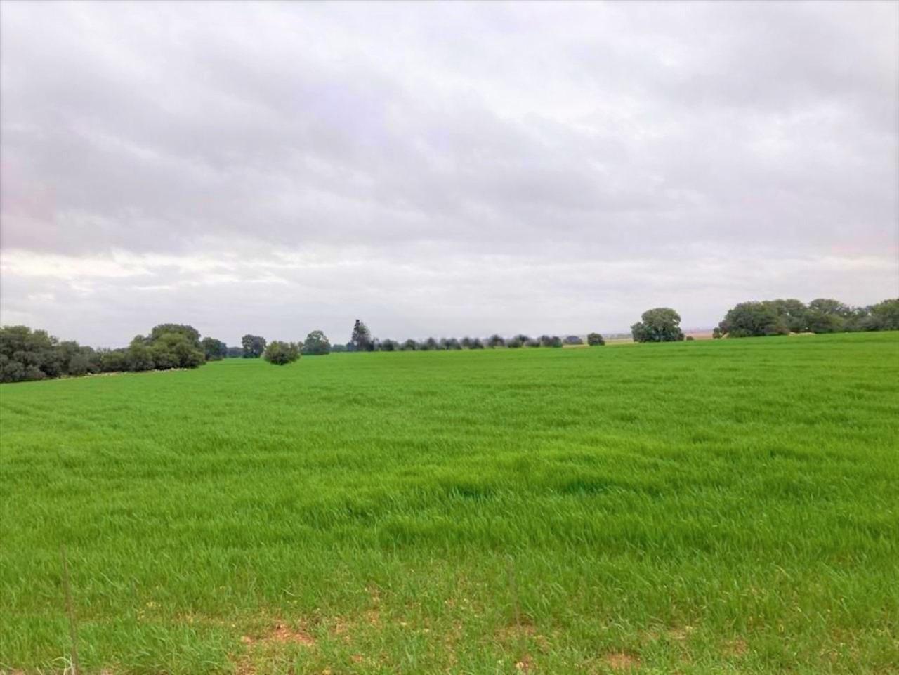 Proc. Simplificado, Campo de Criptana, Ciudad Real en venta Foto del edificio- Imagen 1 de 23