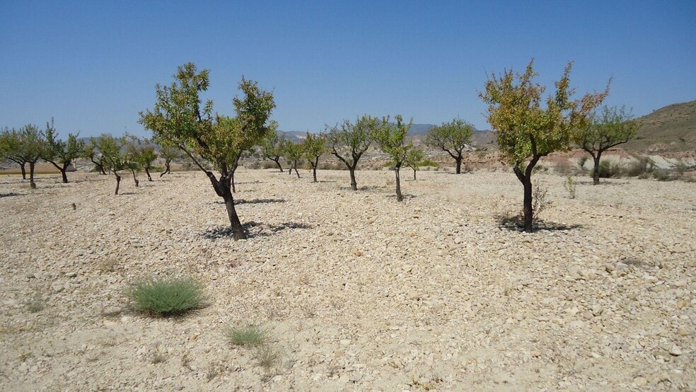 Terreno en Abanilla en venta - Foto del edificio - Imagen 3 de 7